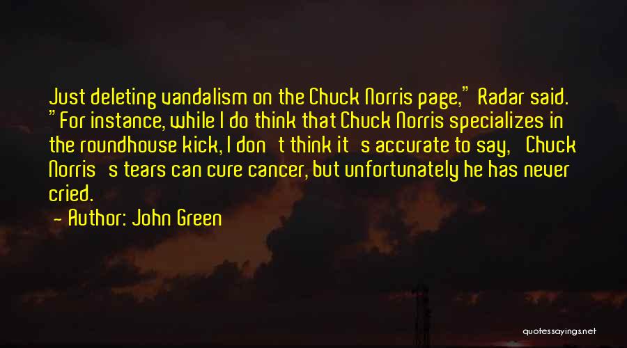 Roundhouse Kick Quotes By John Green