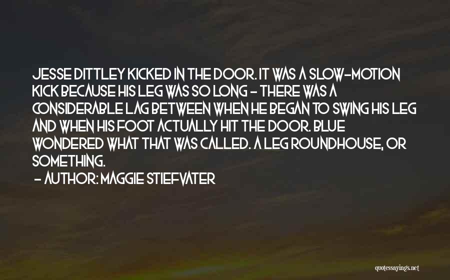 Roundhouse Kick Quotes By Maggie Stiefvater