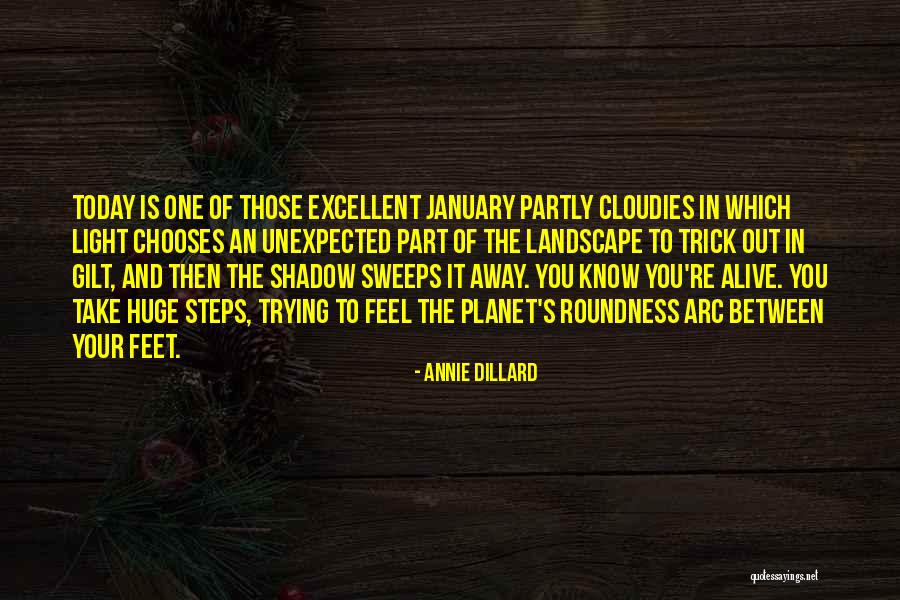 Roundness 7 Quotes By Annie Dillard Roundness 7 Quotes By Annie Dillard