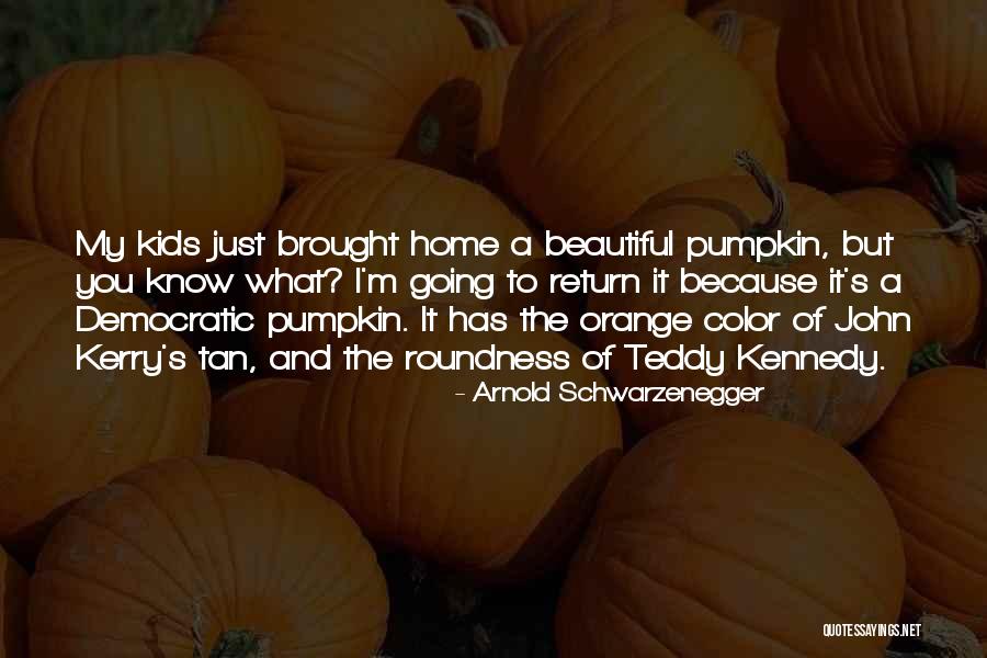 Roundness 7 Quotes By Arnold Schwarzenegger Roundness 7 Quotes By Arnold Schwarzenegger