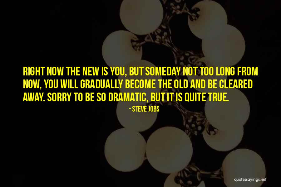 Routiers Suisses Quotes By Steve Jobs Routiers Suisses Quotes By Steve Jobs