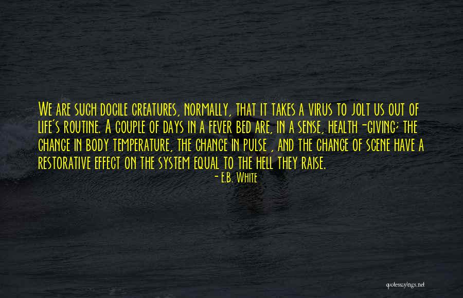Routine Life Quotes By E.B. White Routine Life Quotes By E.B. White