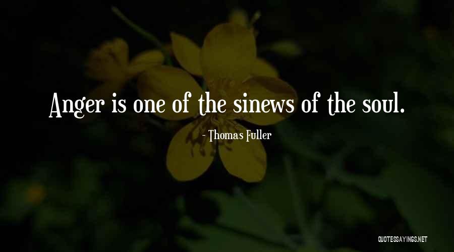 Rouviere Anatomy Quotes By Thomas Fuller Rouviere Anatomy Quotes By Thomas Fuller