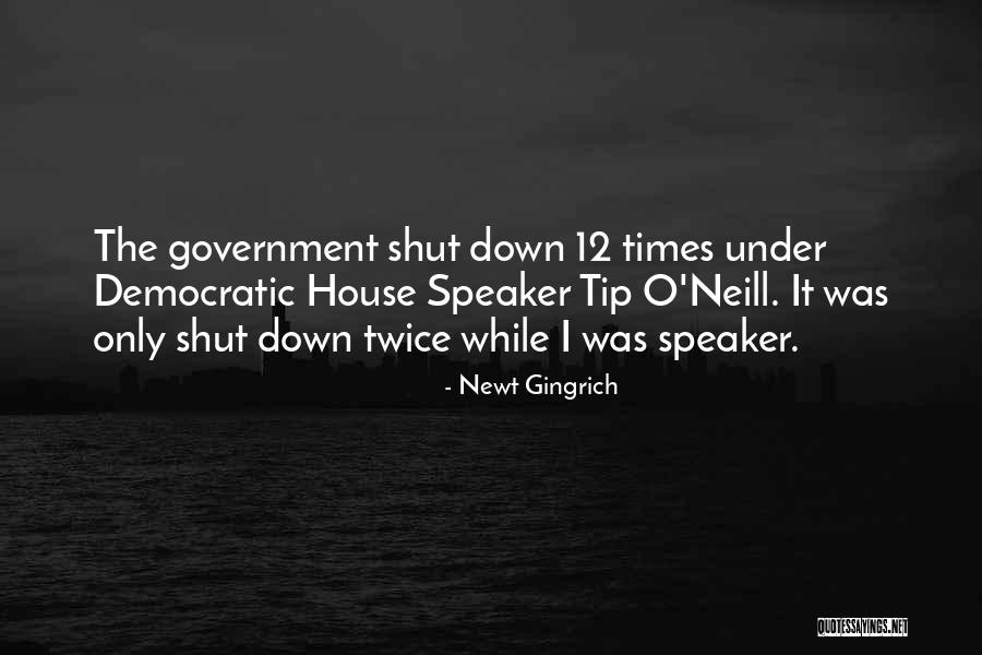 Rouzbeh Rashidi Quotes By Newt Gingrich Rouzbeh Rashidi Quotes By Newt Gingrich