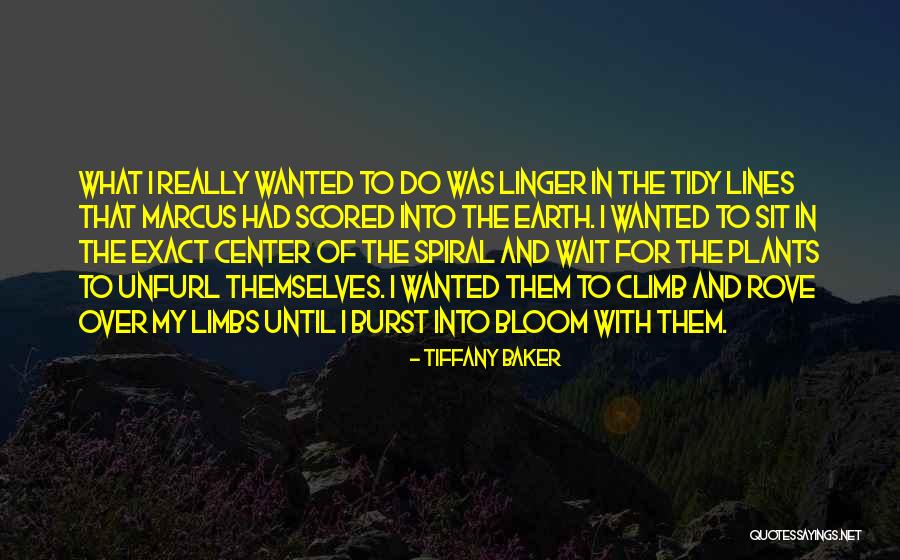 Rove Quotes By Tiffany Baker Rove Quotes By Tiffany Baker