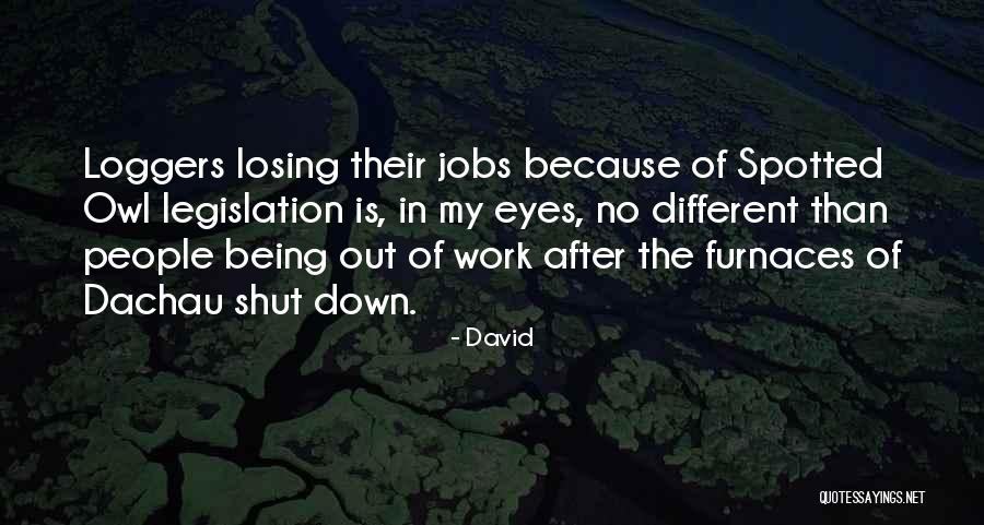 Rovegno Physical Education Quotes By David Rovegno Physical Education Quotes By David