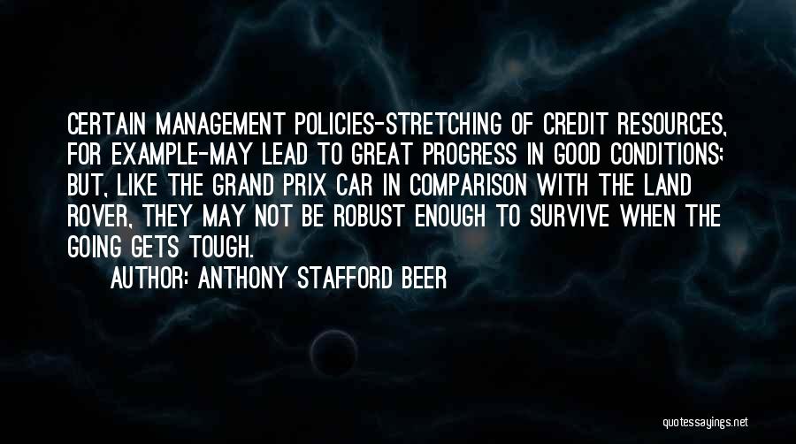 Rover Quotes By Anthony Stafford Beer