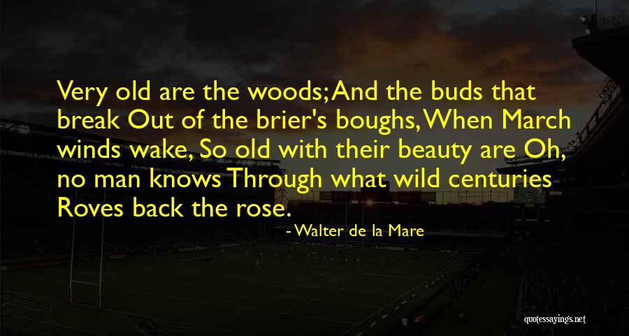 Roves Quotes By Walter De La Mare Roves Quotes By Walter De La Mare