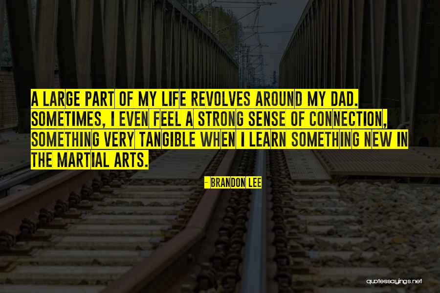 Rovigo Italy Baseball Quotes By Brandon Lee Rovigo Italy Baseball Quotes By Brandon Lee