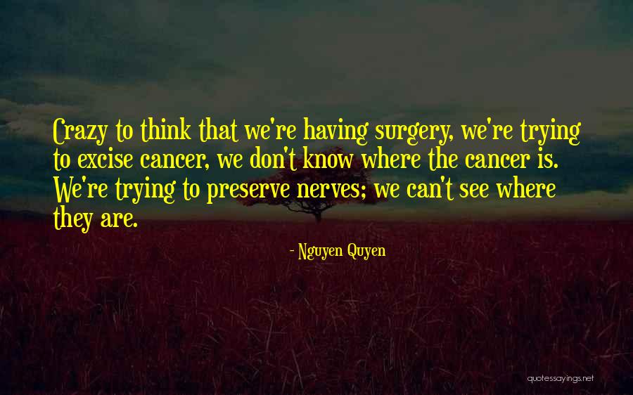 Rovinsky Lecture Quotes By Nguyen Quyen Rovinsky Lecture Quotes By Nguyen Quyen