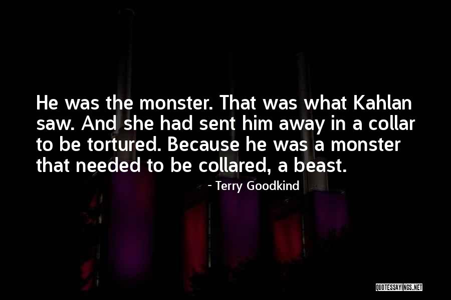 Rovirosa Quotes By Terry Goodkind Rovirosa Quotes By Terry Goodkind