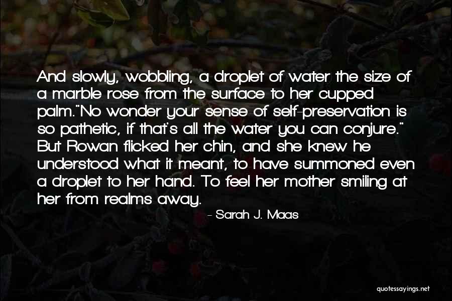 Rowan And Aelin Quotes By Sarah J. Maas Rowan And Aelin Quotes By Sarah J. Maas