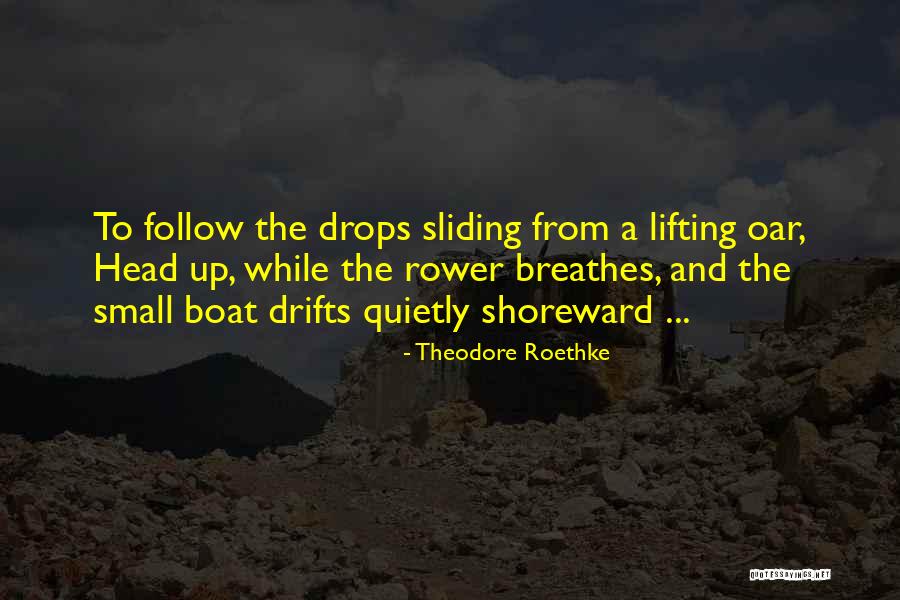 Rower Quotes By Theodore Roethke Rower Quotes By Theodore Roethke