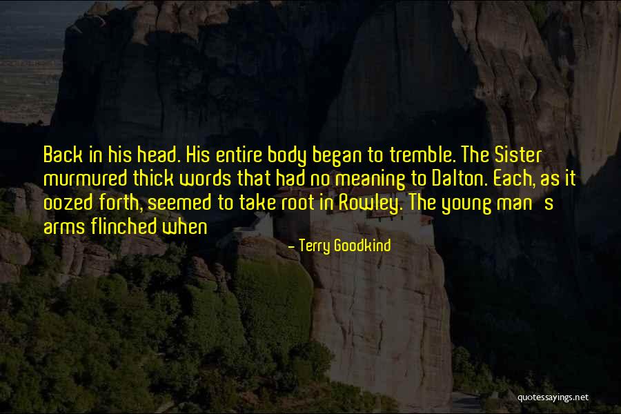 Rowley Quotes By Terry Goodkind