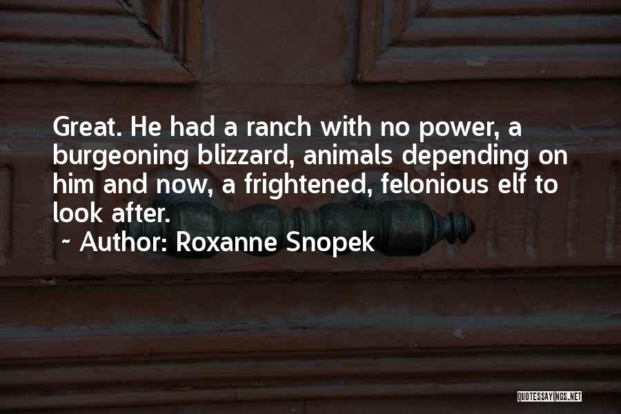 Roxanne Snopek Quotes 75003