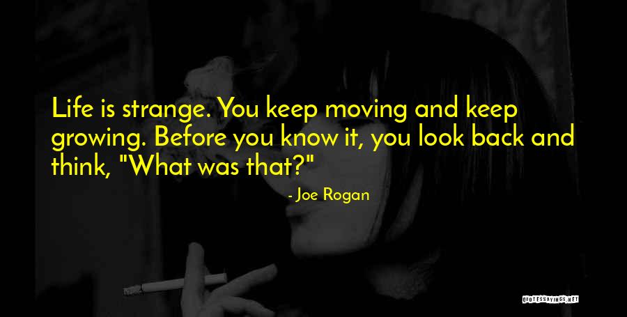 Roxholme Quotes By Joe Rogan Roxholme Quotes By Joe Rogan