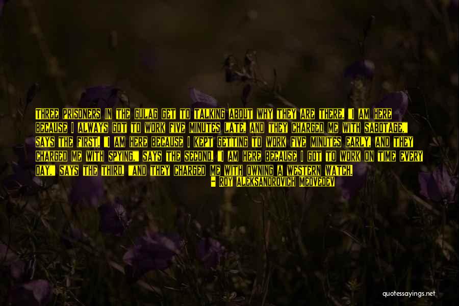 Roy Aleksandrovich Medvedev Quotes 1088030 Roy Aleksandrovich Medvedev Quotes 1088030