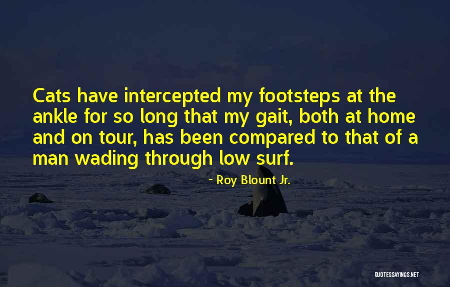 Roy Blount Jr. Quotes 1208574 Roy Blount Jr. Quotes 1208574