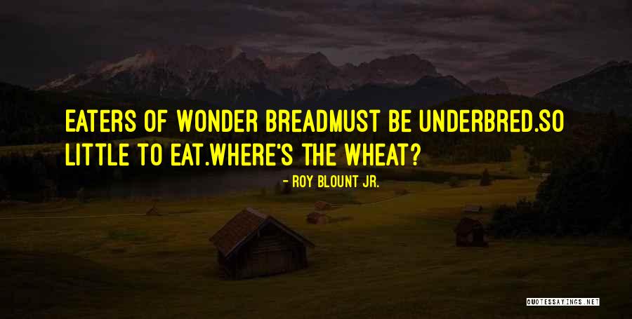Roy Blount Jr. Quotes 1422724 Roy Blount Jr. Quotes 1422724