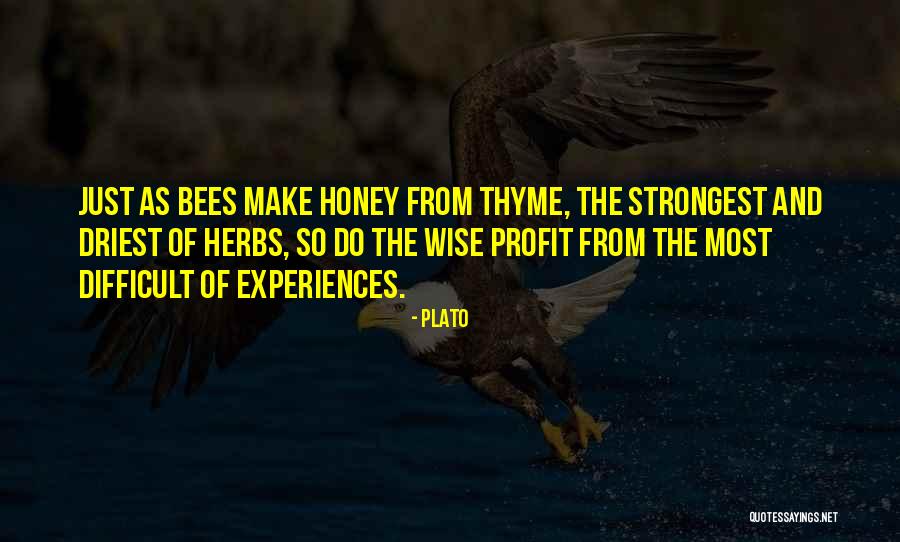 Roy Dupuis Quotes By Plato Roy Dupuis Quotes By Plato