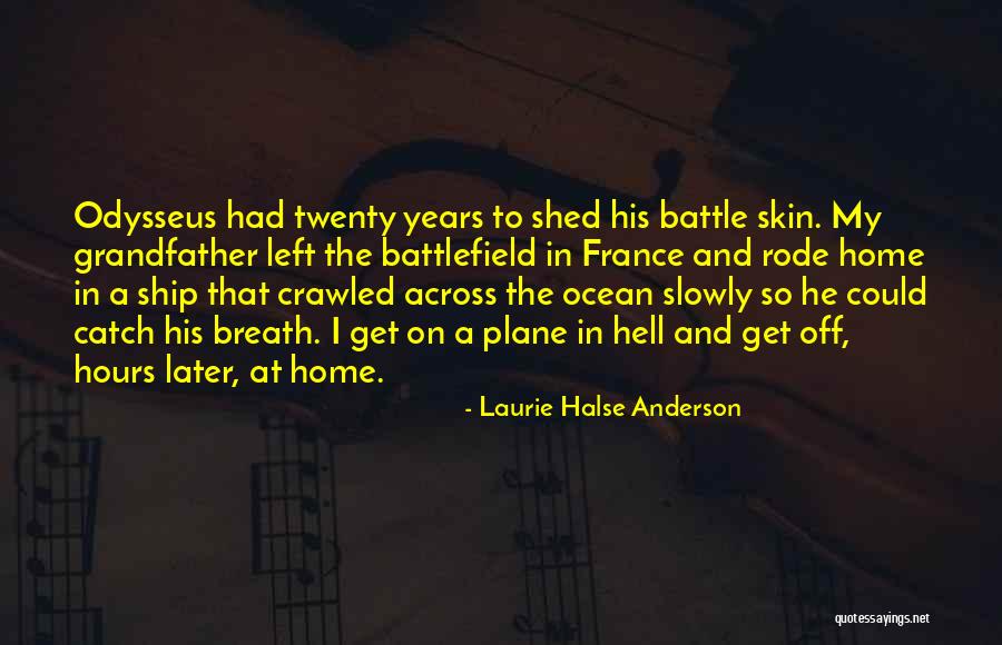 Roy Fox Lichtenstein Quotes By Laurie Halse Anderson Roy Fox Lichtenstein Quotes By Laurie Halse Anderson