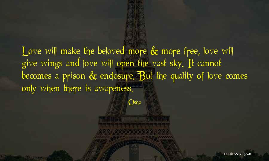Roy Halston Frowick Quotes By Osho Roy Halston Frowick Quotes By Osho