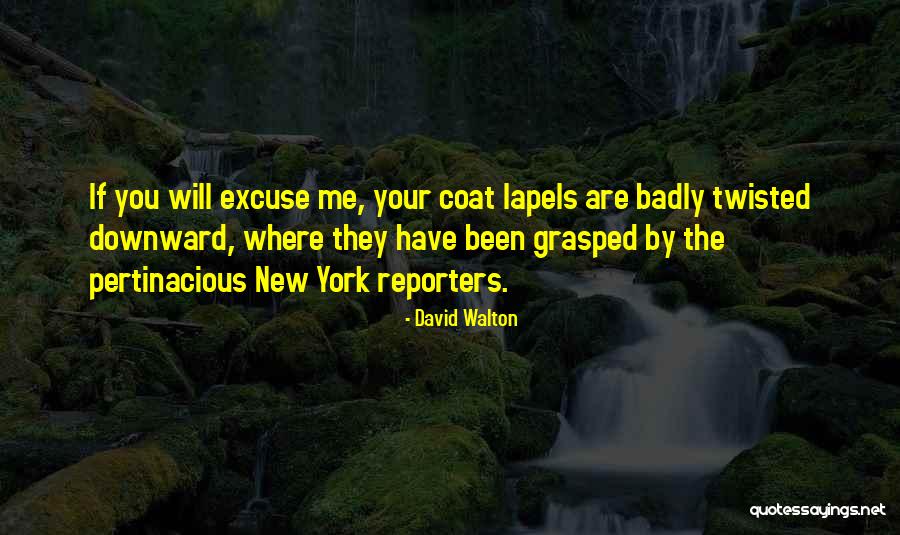 Roy J. Glauber Quotes By David Walton Roy J. Glauber Quotes By David Walton