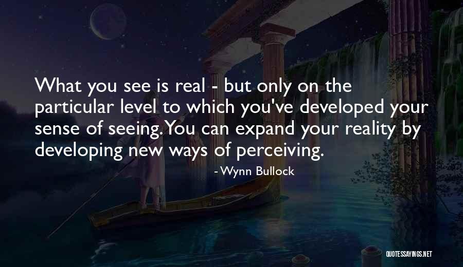 Roy Kent Quotes By Wynn Bullock Roy Kent Quotes By Wynn Bullock