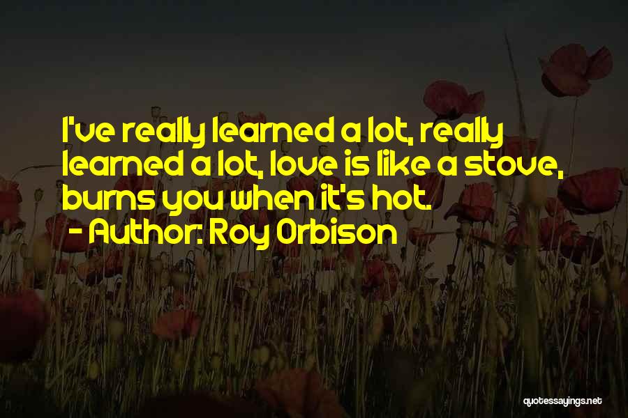 Roy Orbison Quotes 1407926
