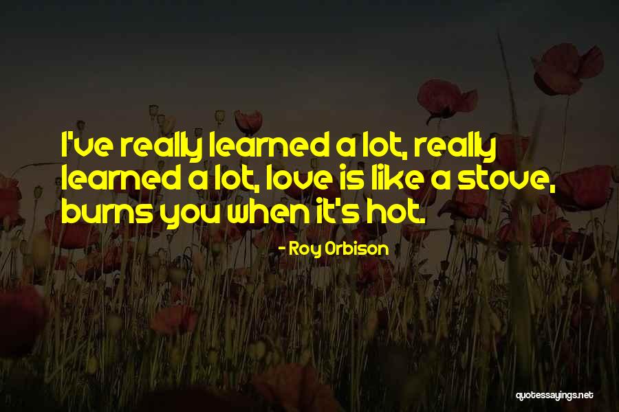 Roy Orbison Quotes 1407926