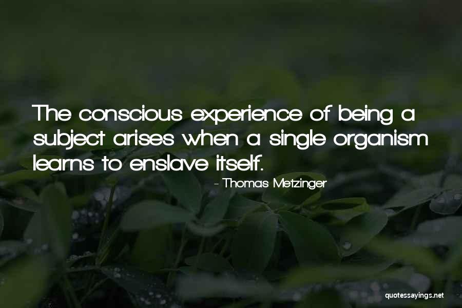 Royong Quotes By Thomas Metzinger Royong Quotes By Thomas Metzinger
