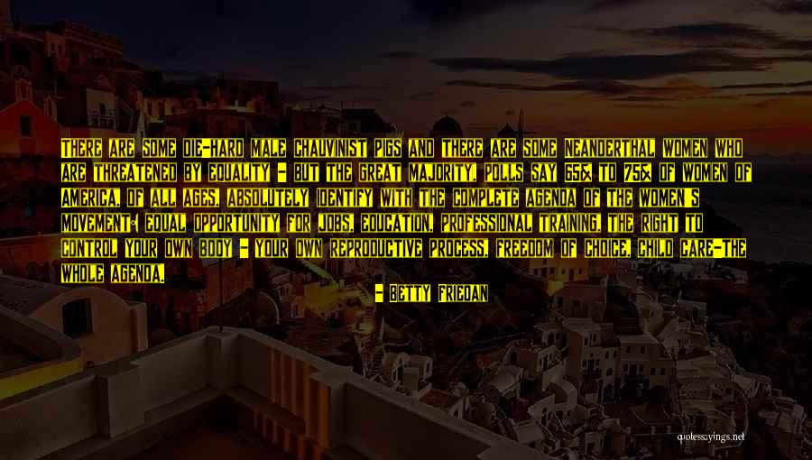 Rozaati Quotes By Betty Friedan Rozaati Quotes By Betty Friedan