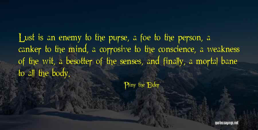 Rozeboom Brokerage Quotes By Pliny The Elder Rozeboom Brokerage Quotes By Pliny The Elder