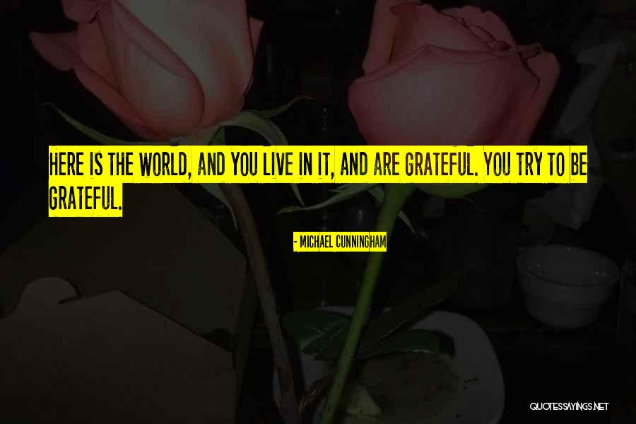 Rozenn Dahyot Quotes By Michael Cunningham Rozenn Dahyot Quotes By Michael Cunningham