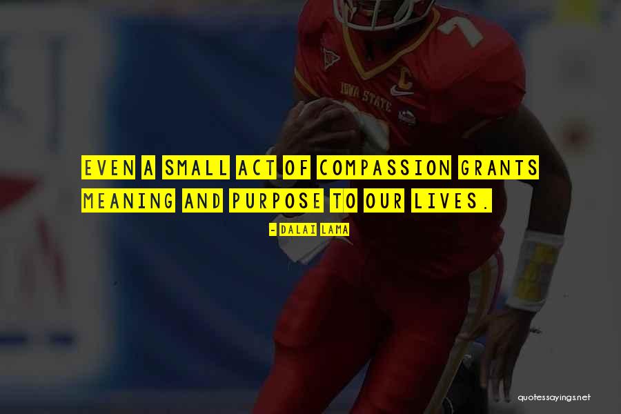 Rozine Suknele Quotes By Dalai Lama Rozine Suknele Quotes By Dalai Lama