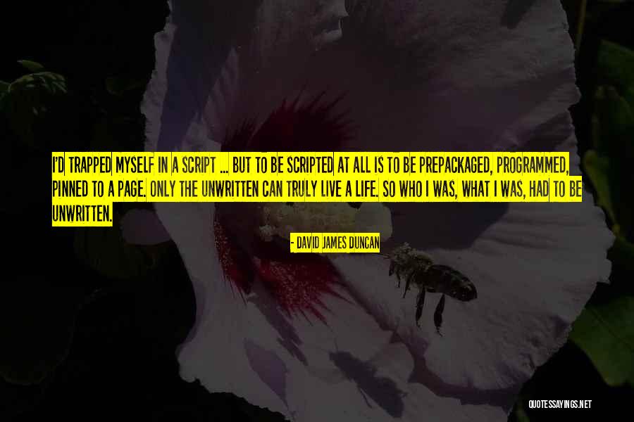 Rozsahegyi H Z Quotes By David James Duncan Rozsahegyi H Z Quotes By David James Duncan