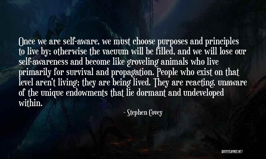 Rozzalynd Quotes By Stephen Covey Rozzalynd Quotes By Stephen Covey