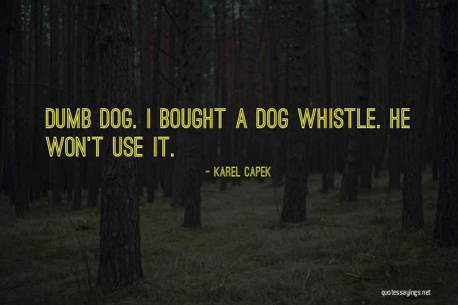 Rpar Stock Quotes By Karel Capek Rpar Stock Quotes By Karel Capek