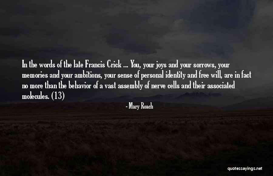 Rpgle Timestamp Quotes By Mary Roach Rpgle Timestamp Quotes By Mary Roach