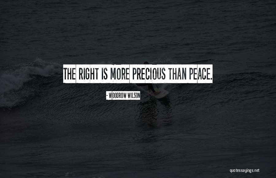 Rruga Sulejman Quotes By Woodrow Wilson Rruga Sulejman Quotes By Woodrow Wilson