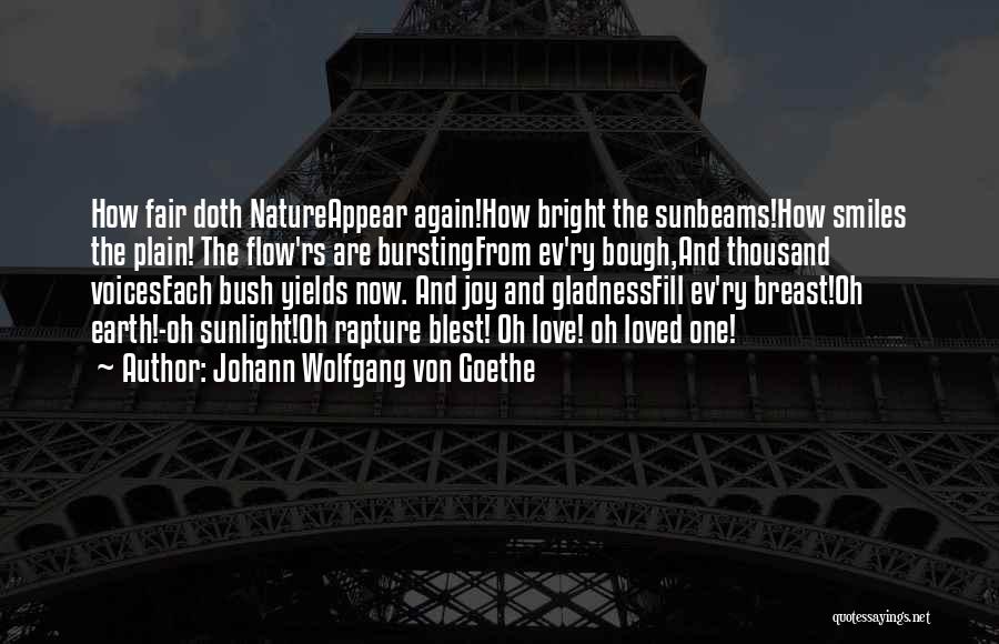 Rs Quotes By Johann Wolfgang Von Goethe