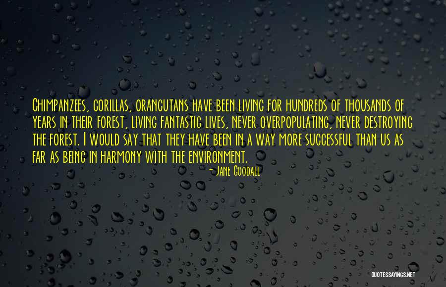 Rskereso Quotes By Jane Goodall Rskereso Quotes By Jane Goodall