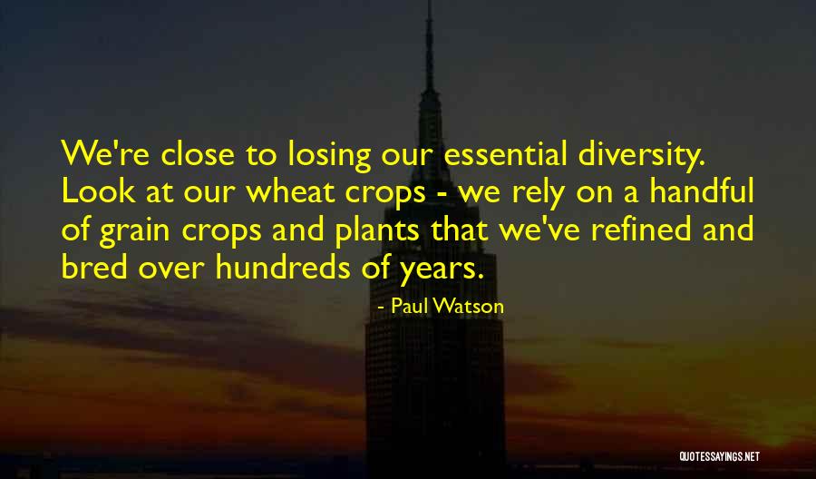 Rspca Logo Quotes By Paul Watson Rspca Logo Quotes By Paul Watson