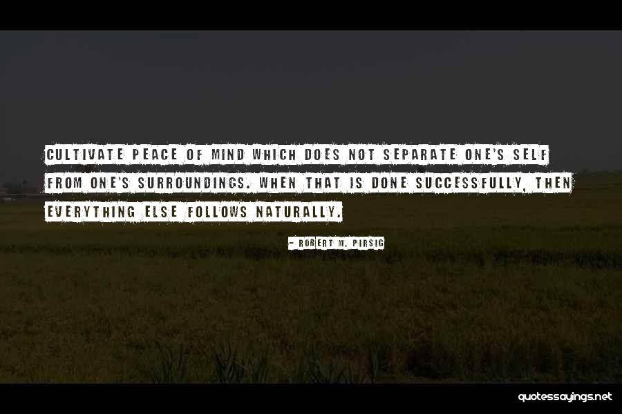 Rssb Quotes By Robert M. Pirsig Rssb Quotes By Robert M. Pirsig