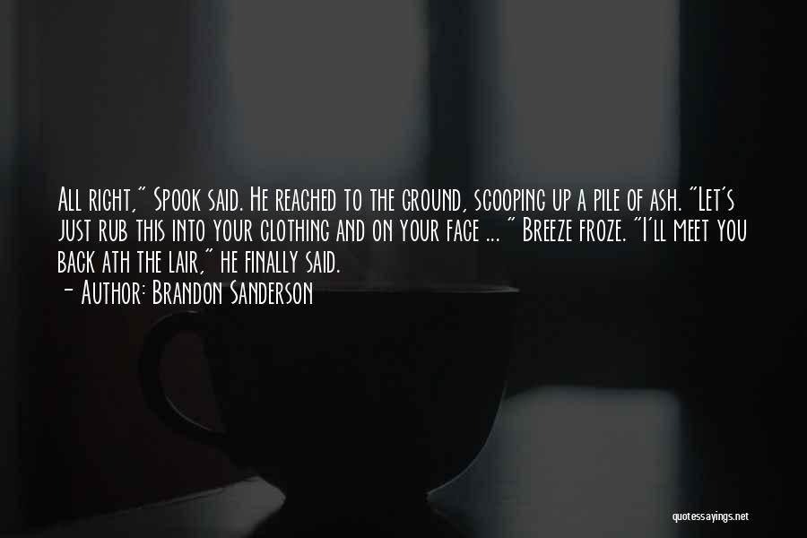 Rub In Your Face Quotes By Brandon Sanderson