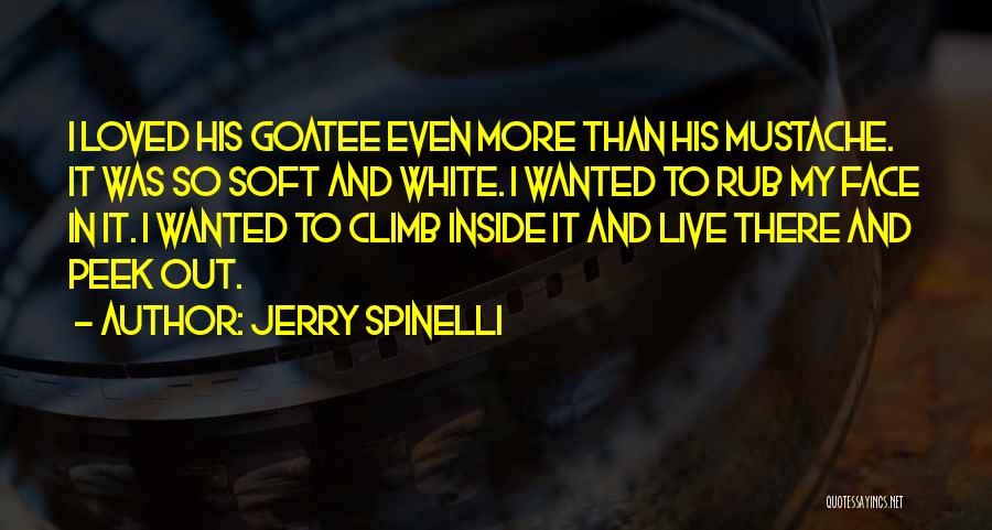 Rub Quotes By Jerry Spinelli