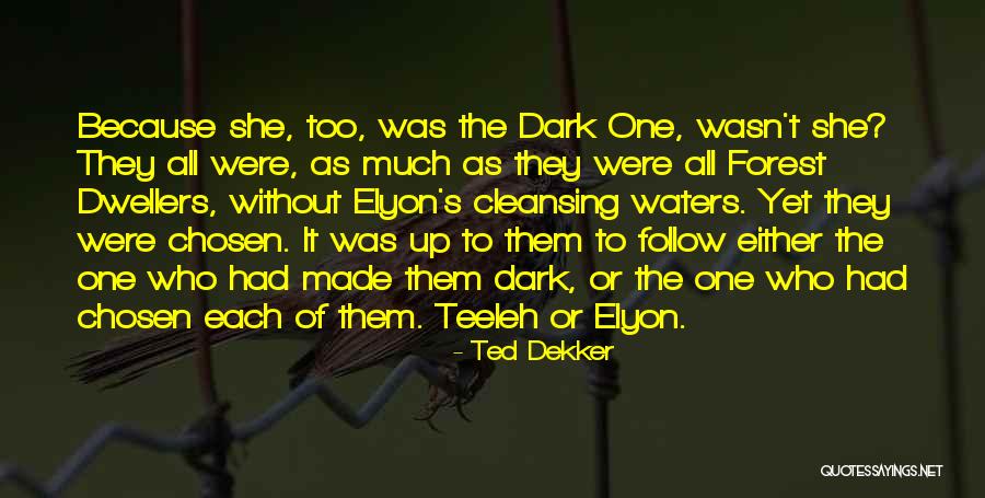 Rubashkin Postville Quotes By Ted Dekker Rubashkin Postville Quotes By Ted Dekker