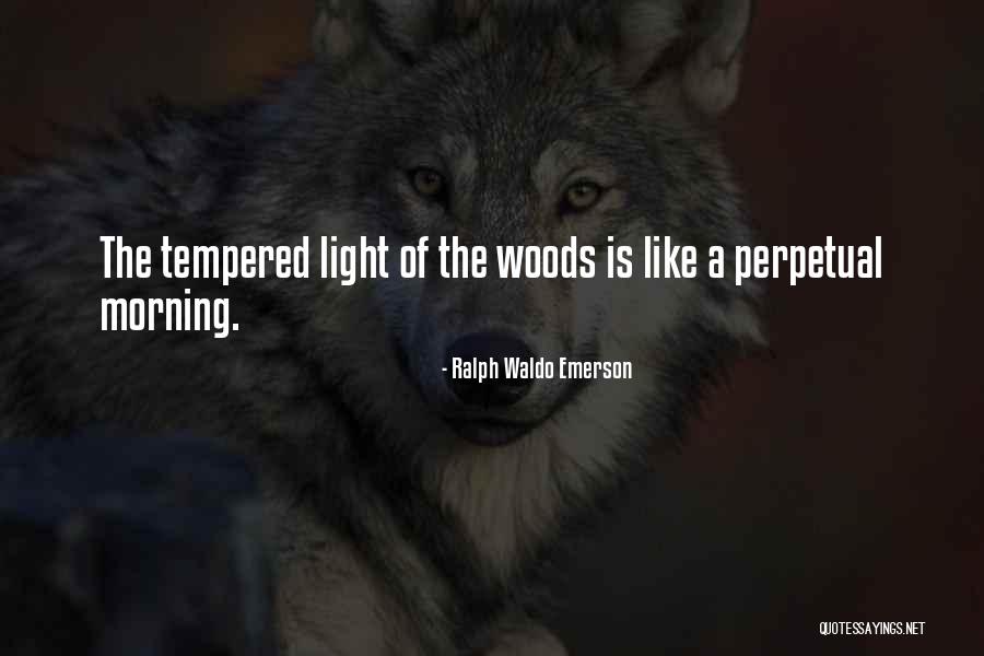 Rubbery Flank Quotes By Ralph Waldo Emerson