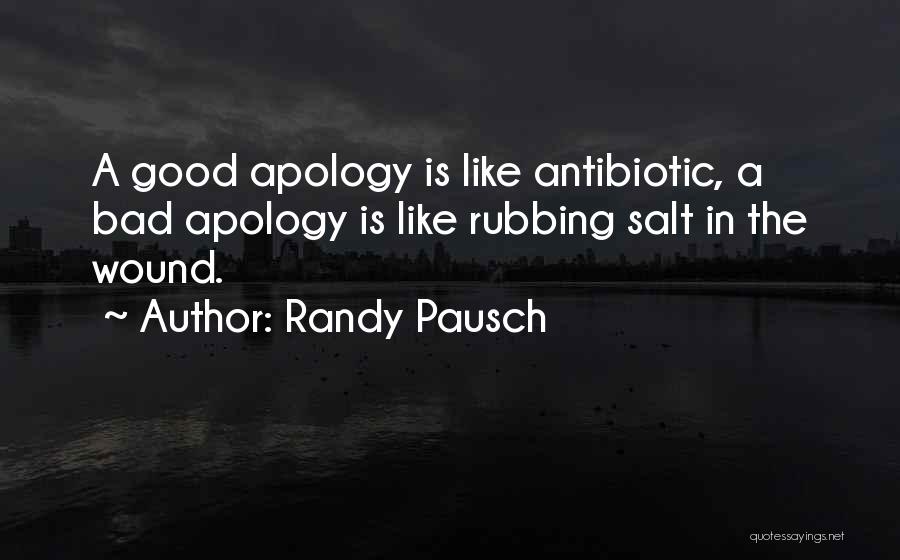 Rubbing Salt In The Wound Quotes By Randy Pausch