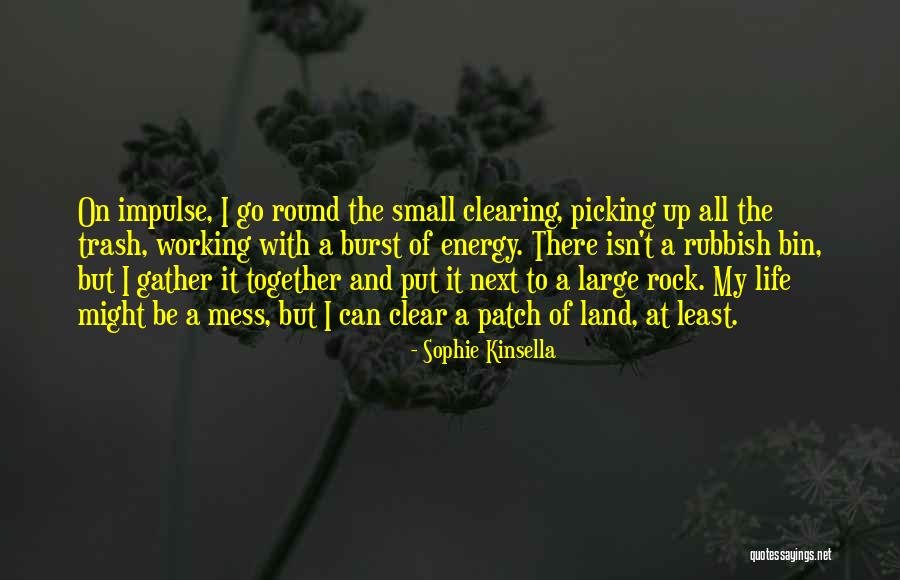 Rubbish Life Quotes By Sophie Kinsella Rubbish Life Quotes By Sophie Kinsella